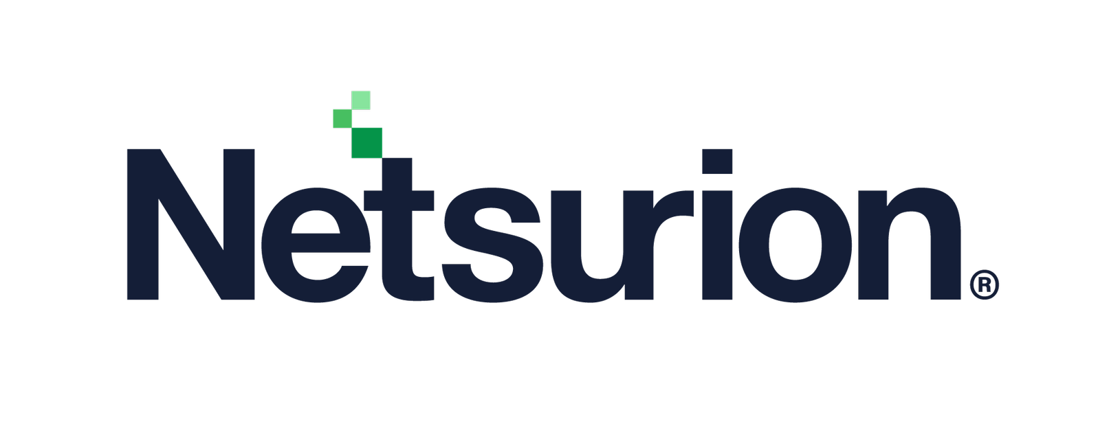Netsurion logo