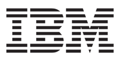 IBM InfoSphere Information Server