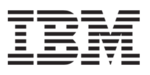 IBM InfoSphere Information Server logo