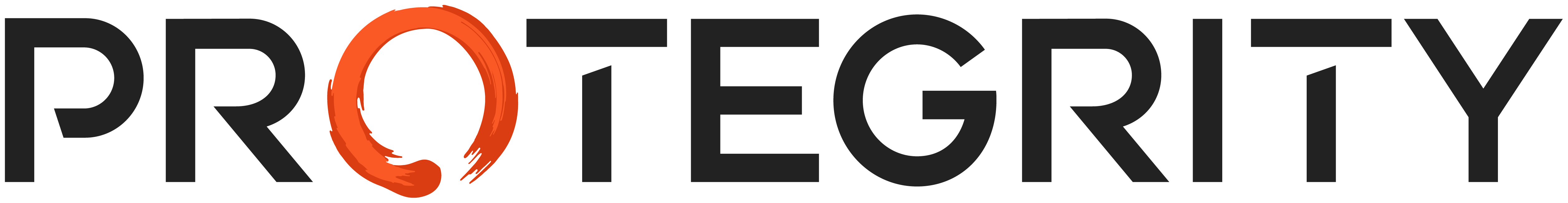 Protegrity Data Security Platform