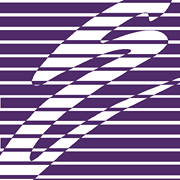 ERIC Systems Risk Manager Logo