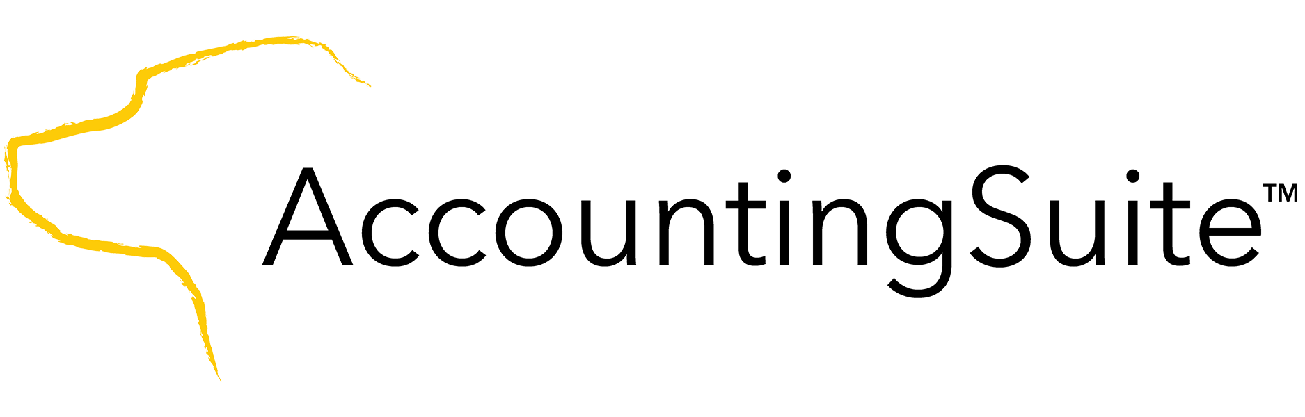 AccountingSuite