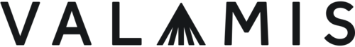 Valamis Learning Experience Platform Logo