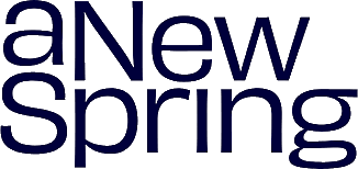 aNewSpring Logo