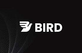 Bird Logo