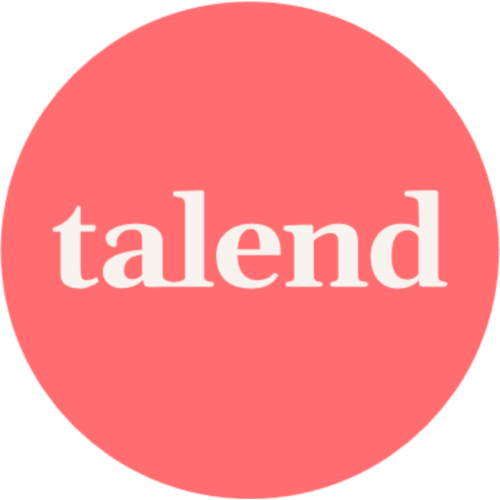 Talend Data Stewardship Logo
