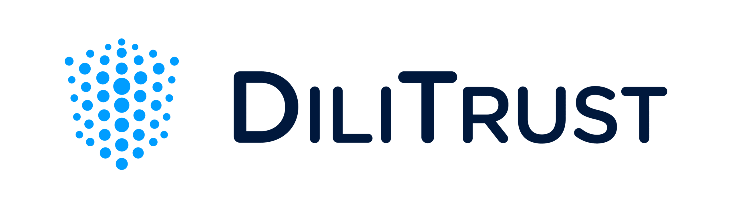 DiliTrust Board Portal