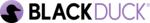 Coverity SAST logo